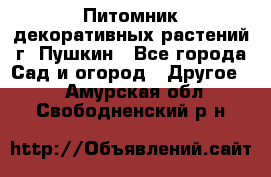 Питомник декоративных растений г. Пушкин - Все города Сад и огород » Другое   . Амурская обл.,Свободненский р-н